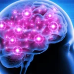 Psychology And How It Relate To Human Behaviour