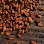 Ghana Cocoa Farmers Can’t Sell Beans—Even After Price Cut, Buyers Have No Cash