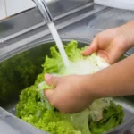 US HEALTH ALERT: Dangerous parasite causing severe diarrhea—what you need to know