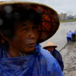 Typhoon Bavi: Why Did China Just Evacuate Over 1 Million People?